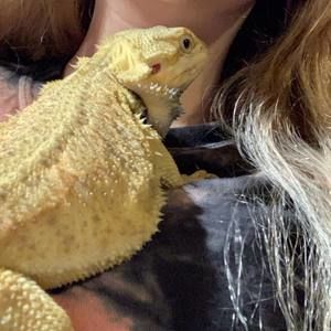 Meet your Posher, Madison